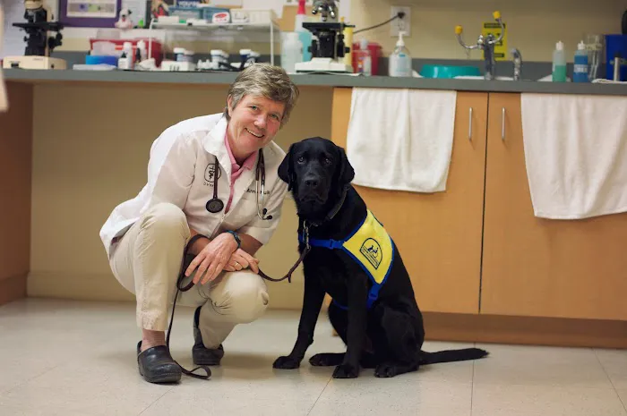 Treehouse Animal Clinic Picture 10