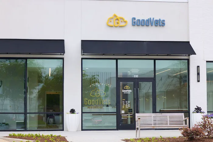 GoodVets West Buckhead Picture 5