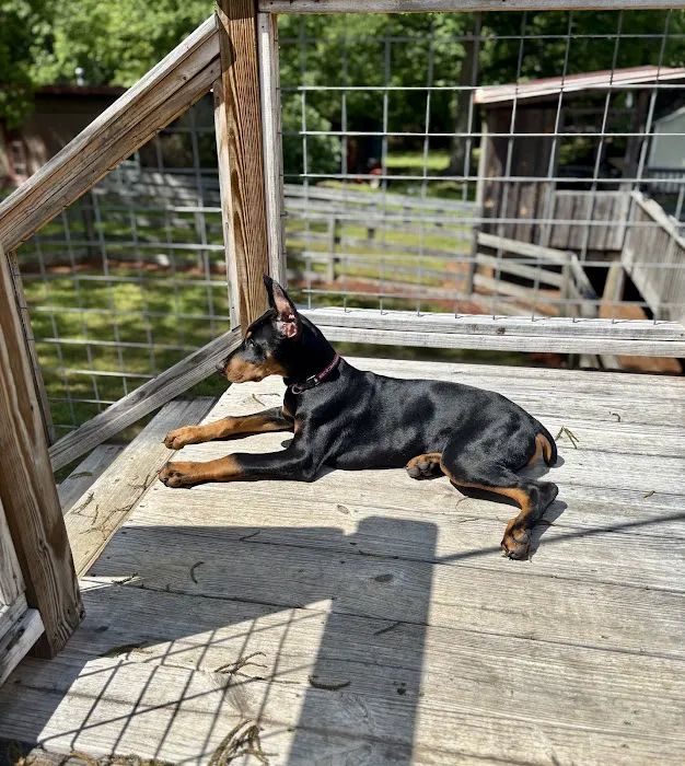 Westside Village Animal Hospital Picture 7