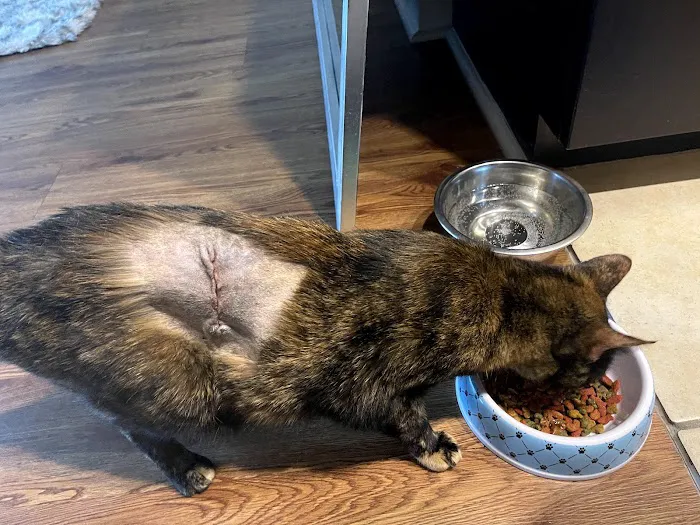 Banfield Pet Hospital Picture 2