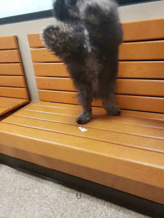 Banfield Pet Hospital Picture 8