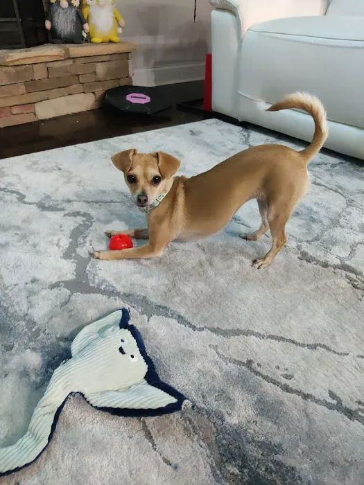 New Georgia Animal Hospital Picture 2