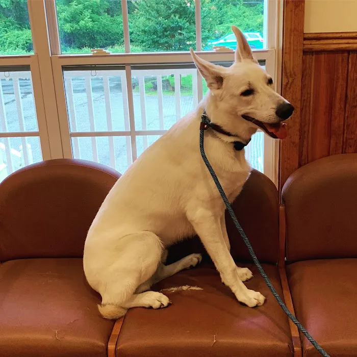 New Georgia Animal Hospital Picture 3
