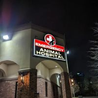 Westside Animal Emergency Clinic ico
