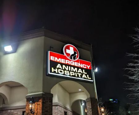 Westside Animal Emergency Clinic