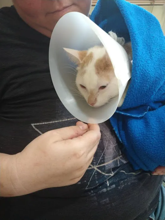 Westside Animal Emergency Clinic Picture 2