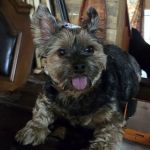 Sweetwater Creek Animal Hospital