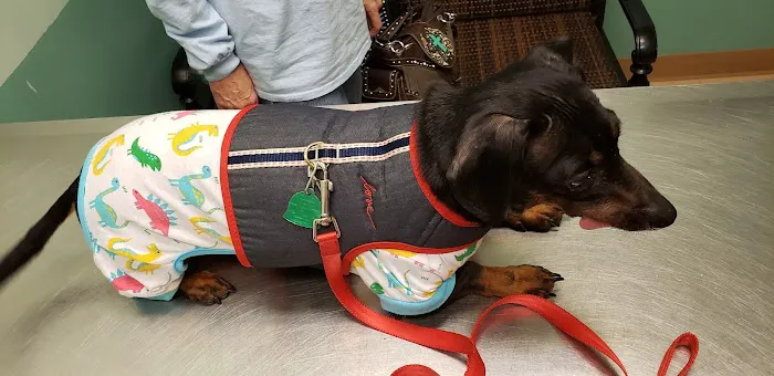 Sweetwater Creek Animal Hospital Picture 4