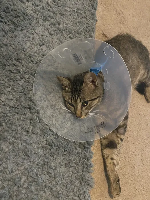 Banfield Pet Hospital Picture 3