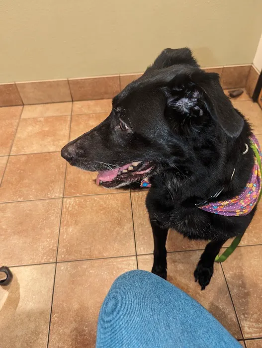 Banfield Pet Hospital Picture 7
