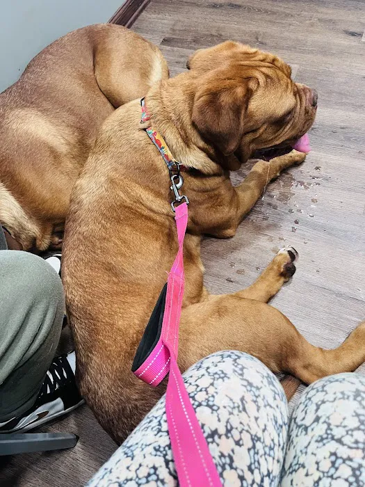 Kay Animal Hospital Picture 9