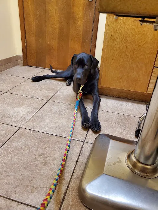 Hwy 5 Animal Hospital Picture 1