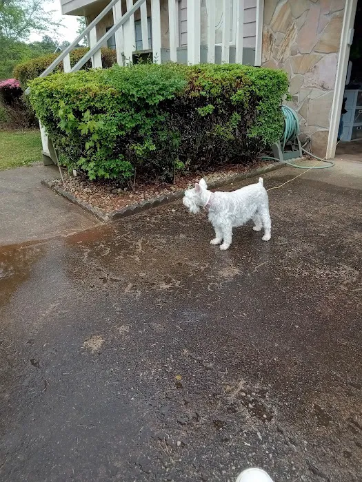 West Georgia Spay Neuter Clinic Picture 4