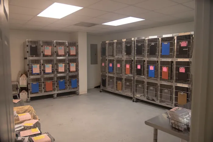 West Georgia Spay Neuter Clinic Picture 7