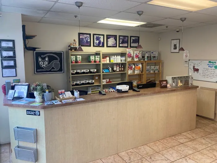 Intown Animal Hospital Picture 1