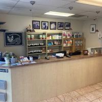 Intown Animal Hospital ico