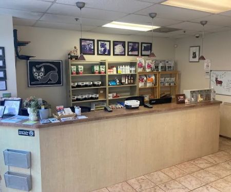 Intown Animal Hospital
