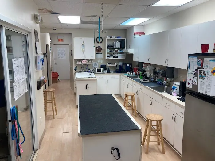 Intown Animal Hospital Picture 3