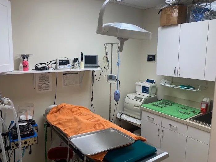 Intown Animal Hospital Picture 5