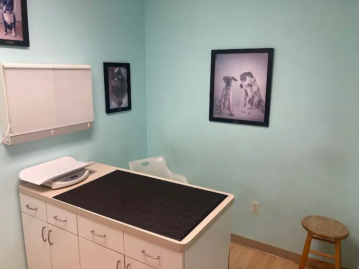 Intown Animal Hospital Picture 9