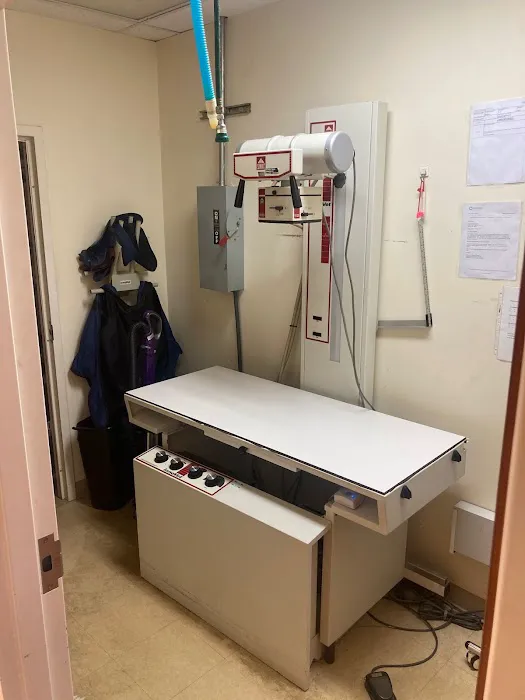 Intown Animal Hospital Picture 6
