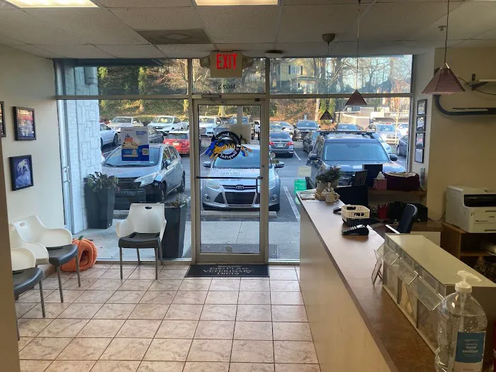 Intown Animal Hospital Picture 8