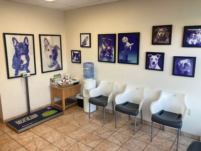 Intown Animal Hospital Picture 10