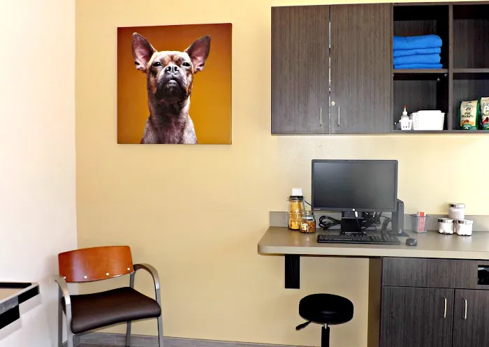 VCA Midtown Animal Hospital Picture 7