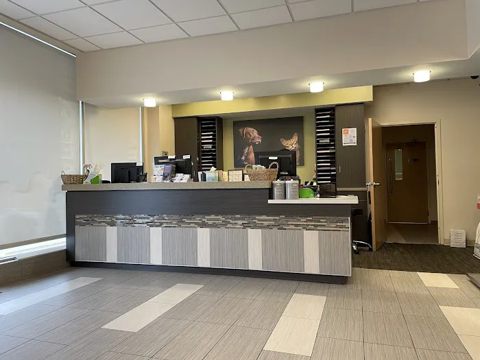 VCA Midtown Animal Hospital Picture 6
