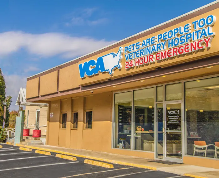 VCA Midtown Animal Hospital Picture 8
