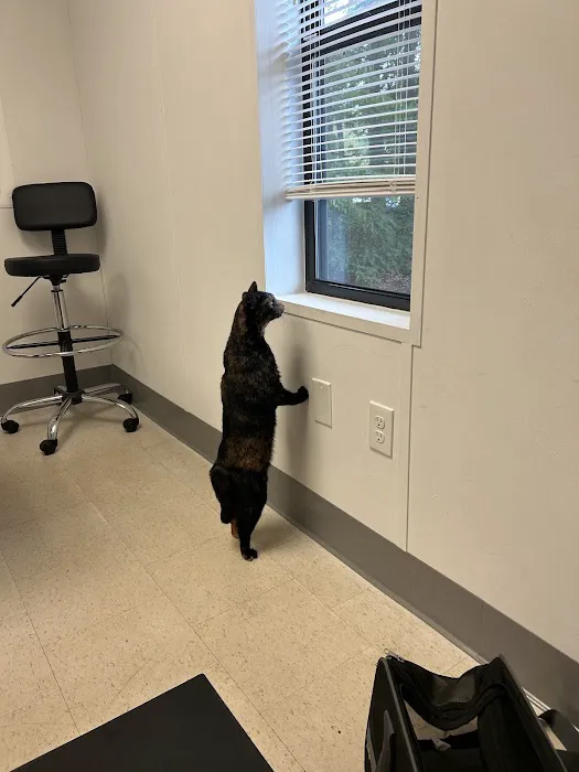 Church Street Animal Hospital Picture 4
