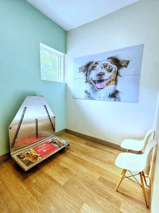 Church Street Animal Hospital Picture 8