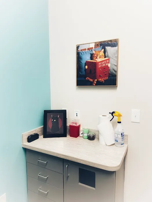 Church Street Animal Hospital Picture 5