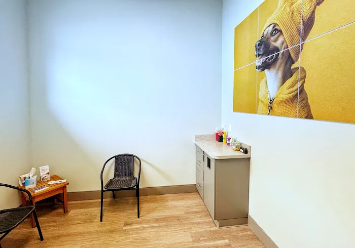 Church Street Animal Hospital Picture 9