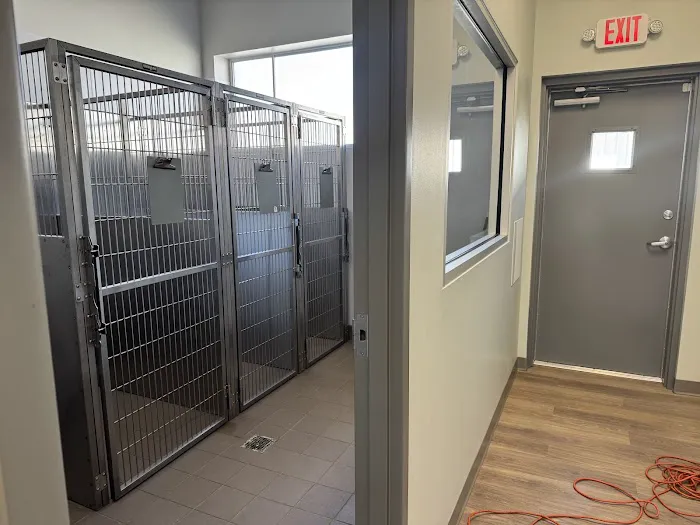 Church Street Animal Hospital Picture 10