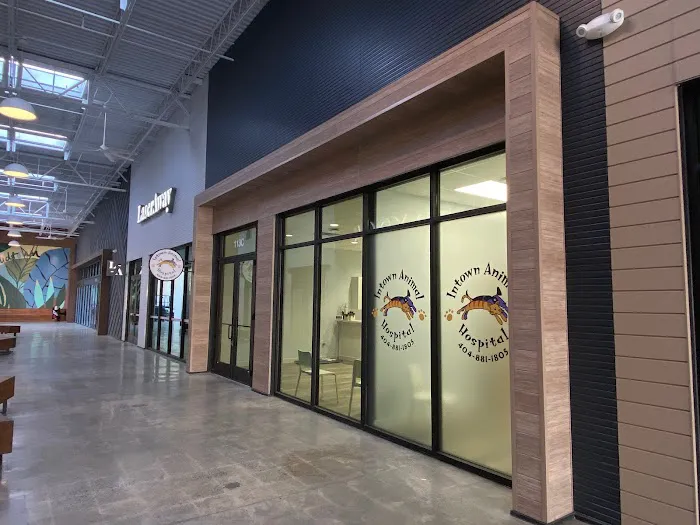 Intown Animal Hospital Midtown Picture 1