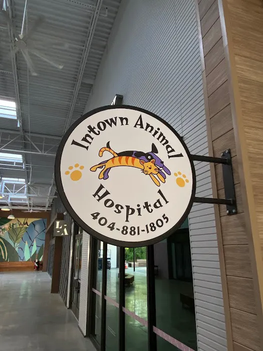 Intown Animal Hospital Midtown Picture 6