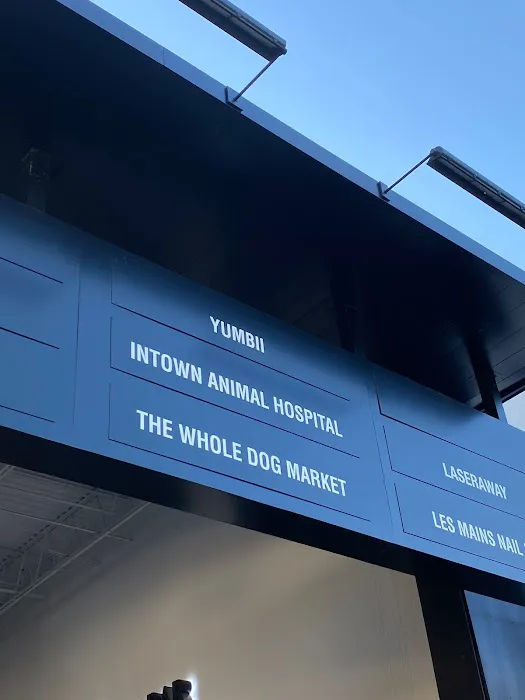 Intown Animal Hospital Midtown Picture 7