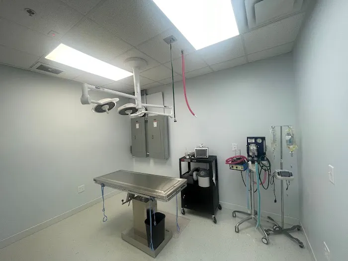 Intown Animal Hospital Midtown Picture 9