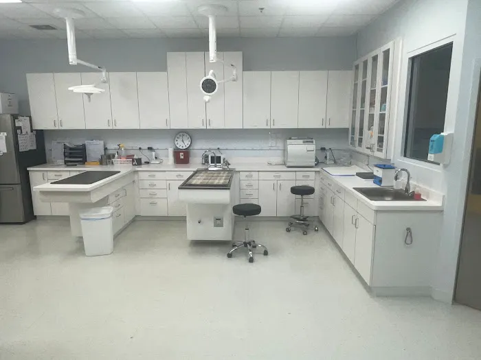 Intown Animal Hospital Midtown Picture 10