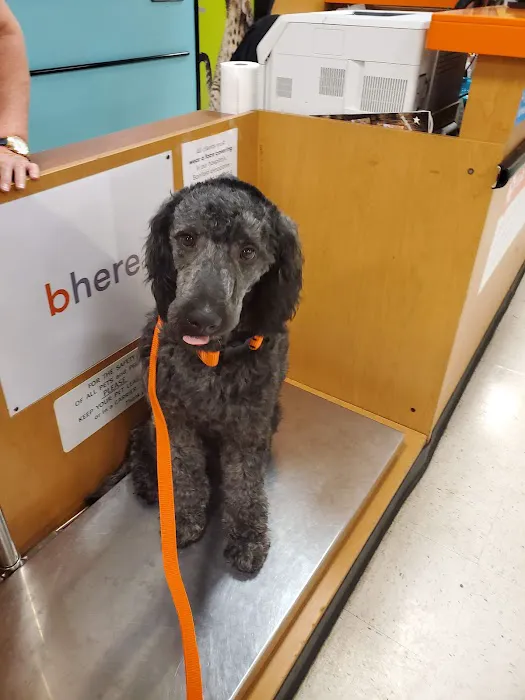 Banfield Pet Hospital Picture 2