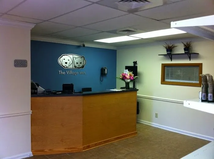 The Village Vets Picture 1