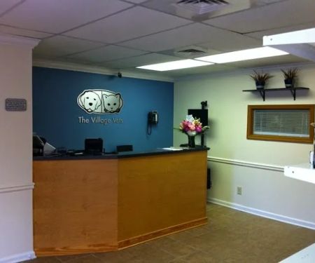 The Village Vets