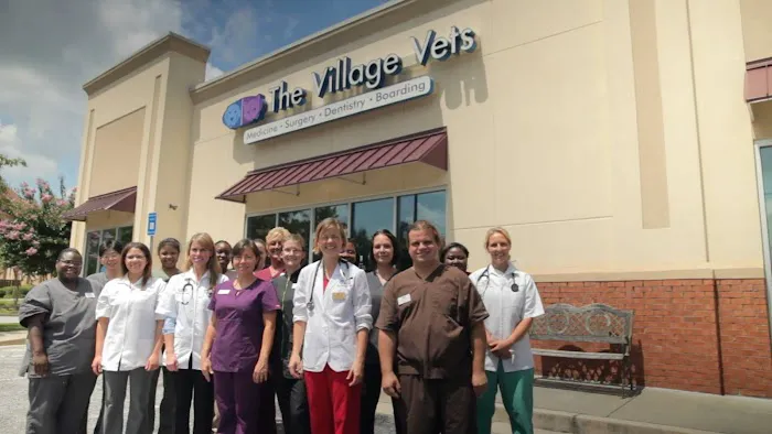 The Village Vets Picture 4