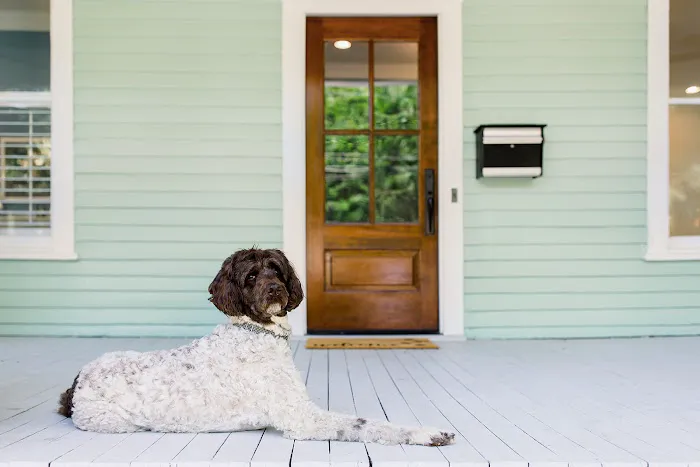 Simmons Veterinary Clinic Picture 6