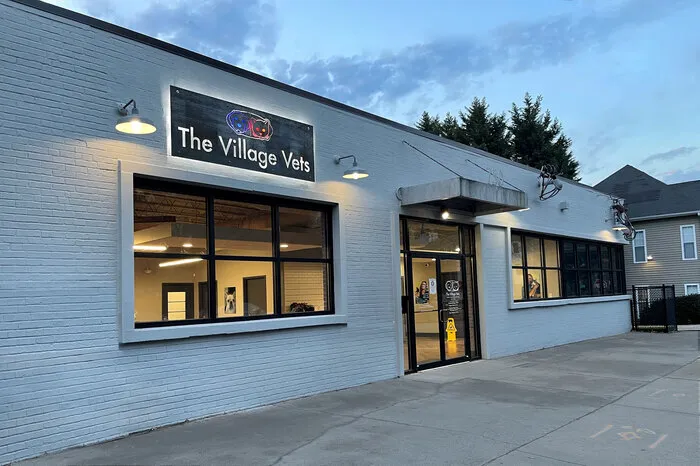 The Village Vets Virginia Highlands Picture 6