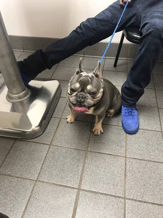 Lithonia Animal Hospital Picture 2