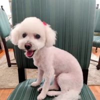 Evans Mill Animal Hospital ico