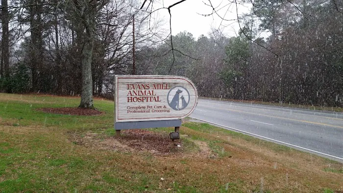 Evans Mill Animal Hospital Picture 3