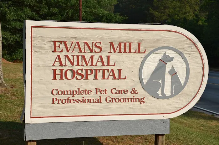 Evans Mill Animal Hospital Picture 4